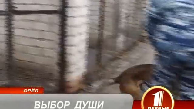 ВЫБОР ДУШИ смотреть онлайн