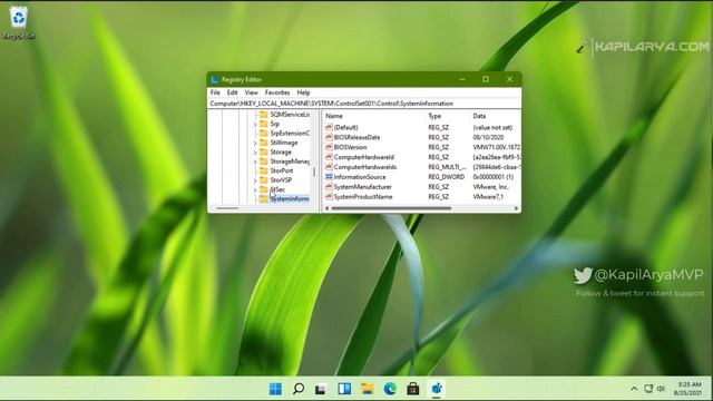 Change System Product Name in Windows 11 смотреть онлайн