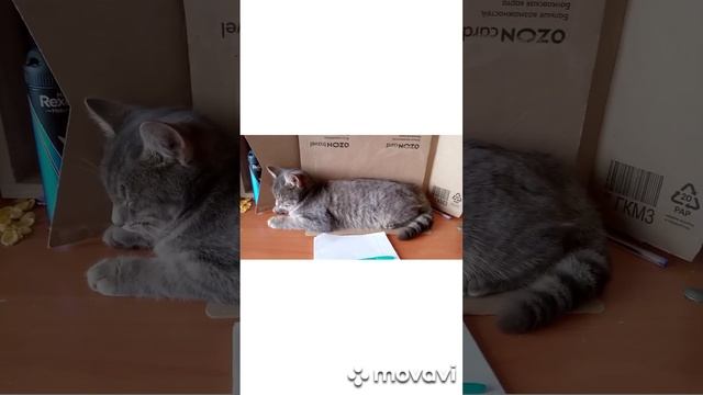 второй день в школе смотреть онлайн