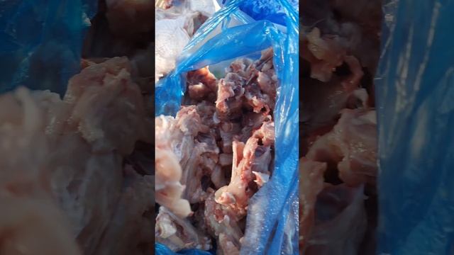 Натуральное мясное питание собак породы шпиц , корги , шарпей. смотреть онлайн