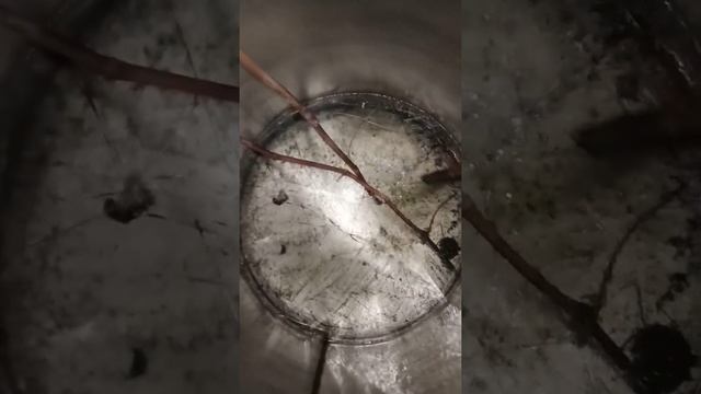 Лёд у меня во дворе смотреть онлайн