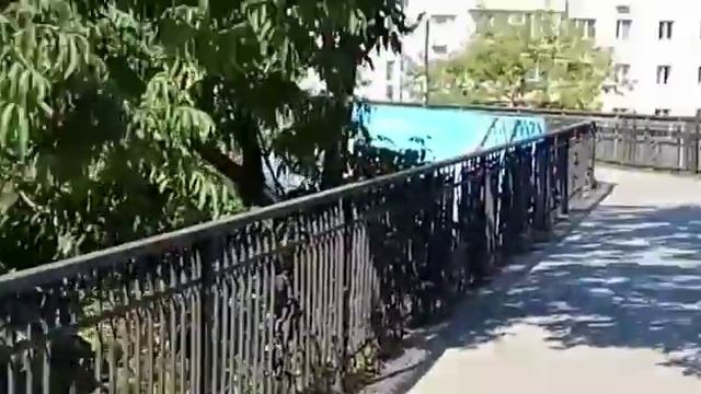 Владивосток наш город смотреть онлайн