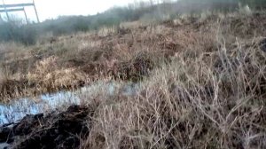 ДТ 75 болотный возможности