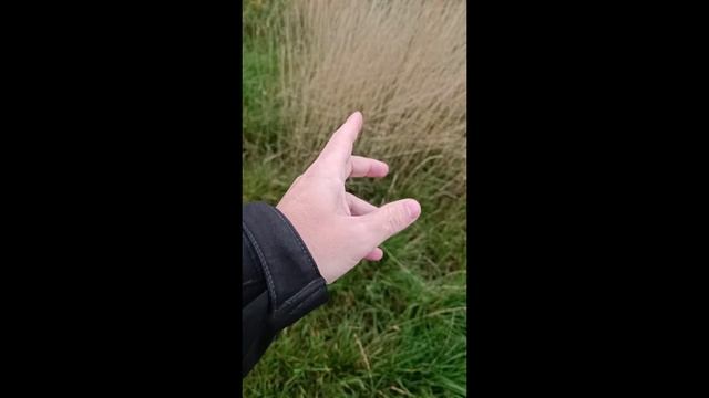 Танцы и Хореография