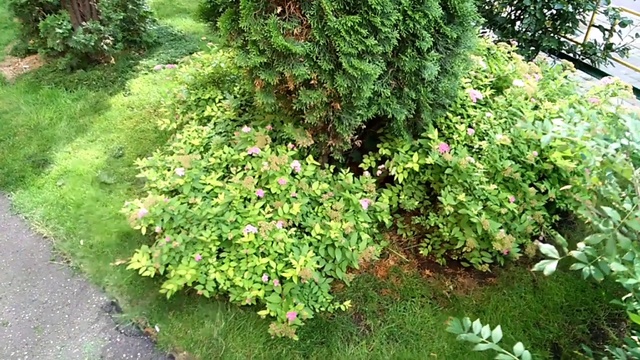 Video_20180708162756244_by_videoshow