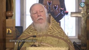 Протоиерей Димитрий Смирнов. Проповедь о человеческой благодарности