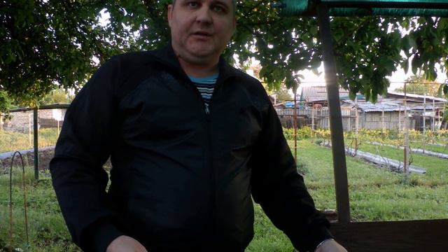 Виноградник 18 05 2020 обработка по 5 - му листу смотреть онлайн