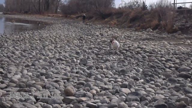 Is DOG PARK Fun for KIDS too? СПЕЦИАЛЬНЫЙ ПАРК Для СОБАК! 🐶🐕🐕🐕 смотреть онлайн