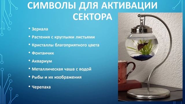 СЕВЕР, сектор карьеры и путешествий. смотреть онлайн