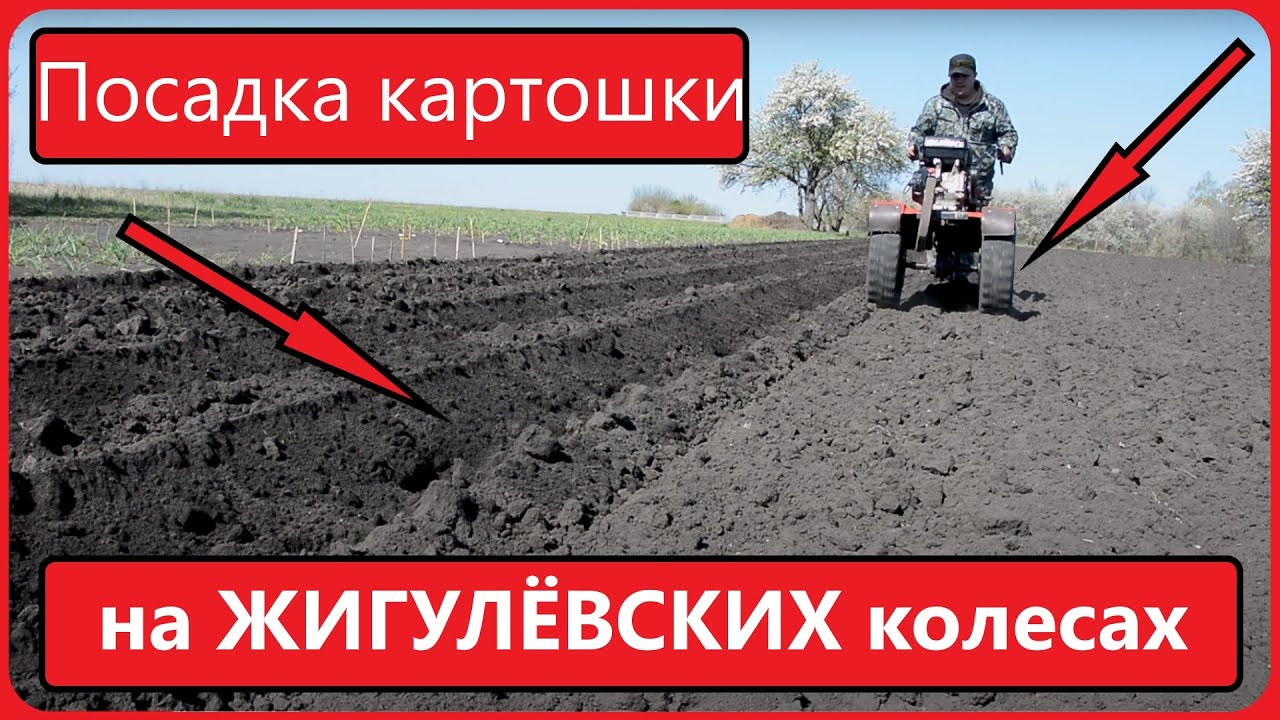 САЖАЕМ КАРТОФЕЛЬ ПОД МОТОБЛОК. Мотоблок Ока на жигулевских колесах, грунтозацепы не нужны! смотреть онлайн