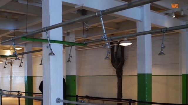 Алькатрас: історія найбільш неприступної в’язниці у світі смотреть онлайн