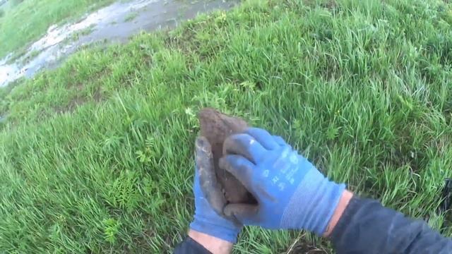 ЧУГУННЫЕ СЛИТКИ НА ПОЛЯХ! ОТ КУДА ОНИ ТАМ ПОЯВЛЯЮТСЯ??? смотреть онлайн