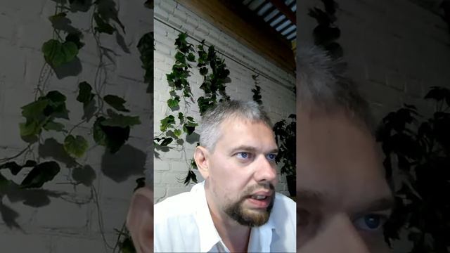 Студеникин 24 Июля смотреть онлайн