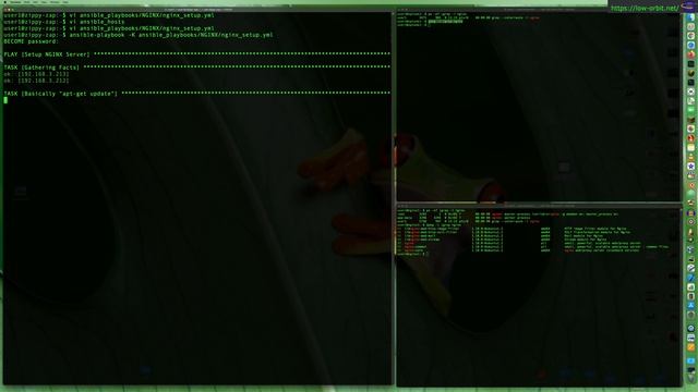 Install NGINX with Ansible смотреть онлайн