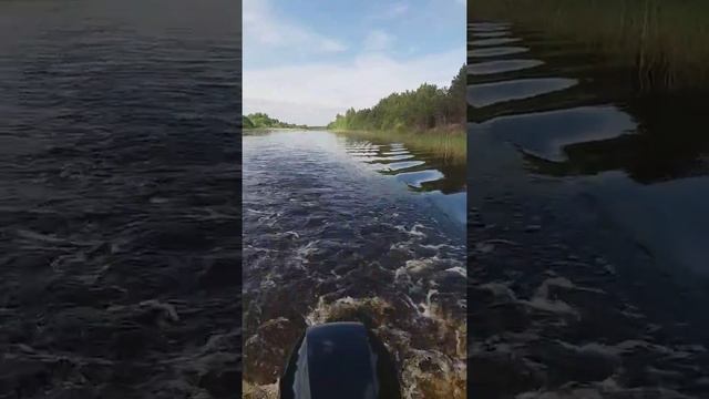 Обкатка лодочного мотора Меркурий 9.9 4-такта смотреть онлайн