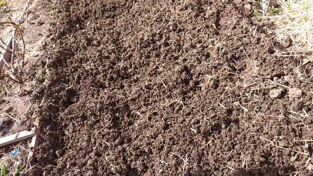 Весенние заморозки на винограднике. смотреть онлайн