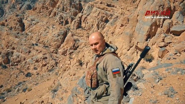 Памирский козерог и керманский баран. Юго-восток Ирана. смотреть онлайн