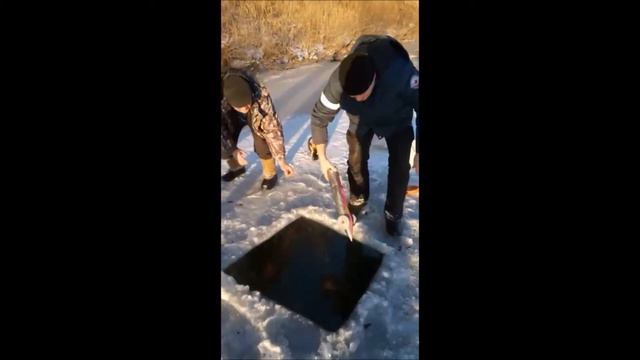 В гостях у Гены смотреть онлайн