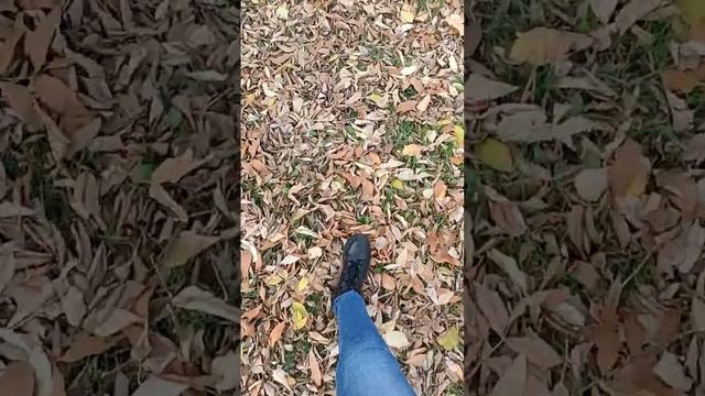 с нами случилась осень смотреть онлайн