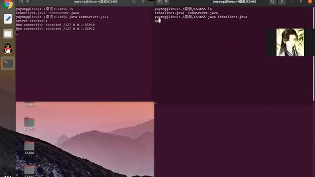 demo for Echoserver смотреть онлайн