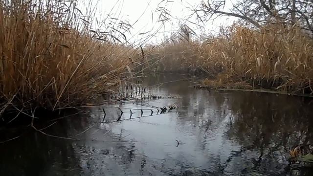 16 декабря народный праздник Иван Молчальник . Всемирный день тишины. народные приметы и традиции смотреть онлайн