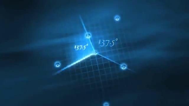 Математика и природа смотреть онлайн