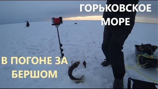 Горьковское море. Рыбалка на берша. Эхолот Практик 8 PRO WI FI смотреть онлайн