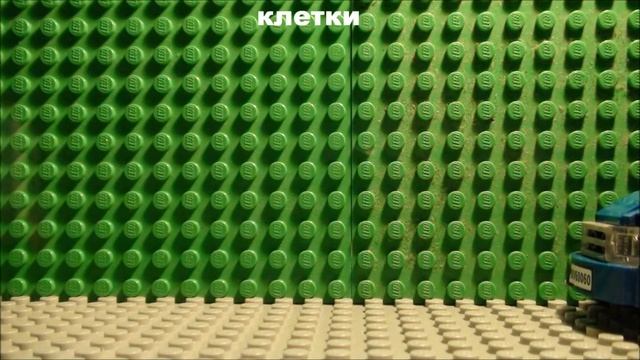 Урок 2 Анимация движения автомобиля машины смотреть онлайн