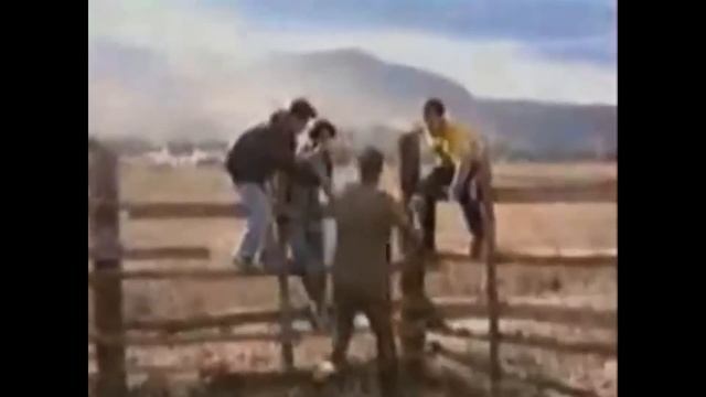 Жанибек Алимханулы vs Винченцо Гуалтьери смотреть онлайн