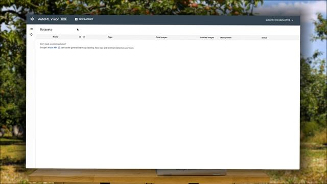Training AutoML Vision Models смотреть онлайн