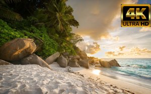 4K HDR 60fps Dolby Vision | World of Animals