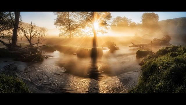 Лес. Утро. Релакс. Звуки природы. Звуки для сна. Расслабляющие звуки. Relax. Cпокойный сон смотреть онлайн
