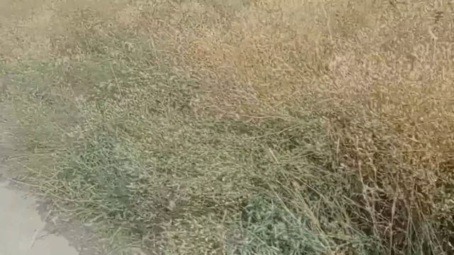 Часть 1. Поездка на поселок Мирный. Большая гумантирная помощь #Мариуполь #Мариупольвидео смотреть онлайн