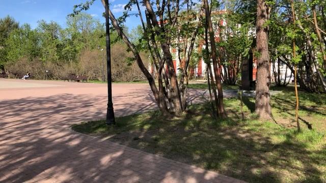 Ицюань / Yiquan (179 день). Фуань Чжуан Цзо-Ю / Облачные руки внутрь / Туйшоу сольные варианты