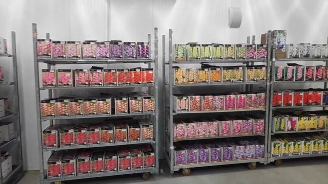 25.01.22. Оптовый склад 7Цветов на ул. Фучика д. 8 Спб.