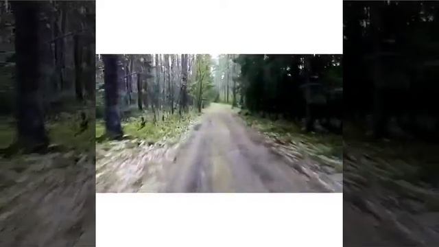 Покатушки по лесу на квадрике. Напала собака. смотреть онлайн