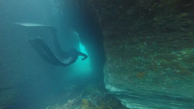 Freediving in Starehole Bay смотреть онлайн