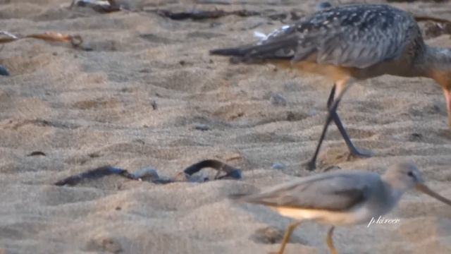 Бухта Зеркальная Японское море Приморский край смотреть онлайн
