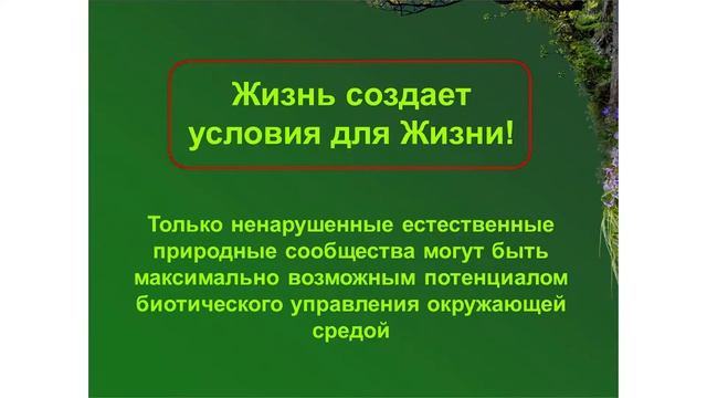 Руководство по озеленению школ — Владимир Коротенко смотреть онлайн