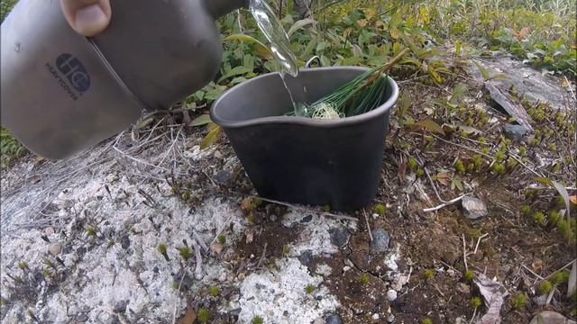 Foraging for wild tea ingrediants in the Canadian backcountry - a new take on pine needle tea смотреть онлайн