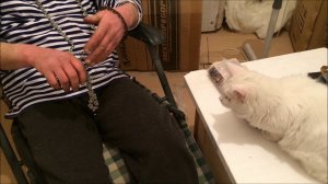 Точильщик ,,Стальной Жук,, о заточке!!!. Наши могут...наши делают!)