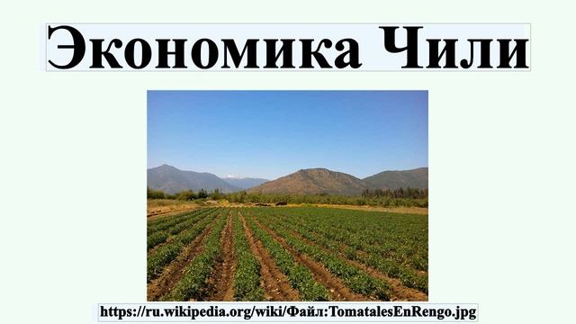 Экономика Чили смотреть онлайн
