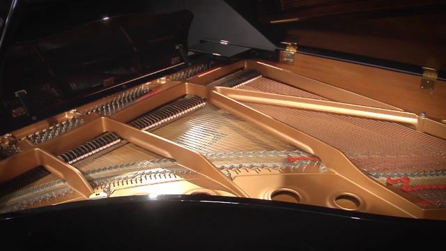 Yamaha C2 5'8" Player Grand Piano PianoDisc (#5834989) смотреть онлайн