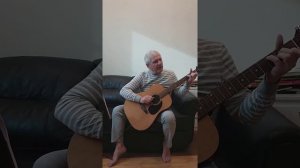 Скрипка-лиса. Исполнение на гитаре: Виктор Сидоров