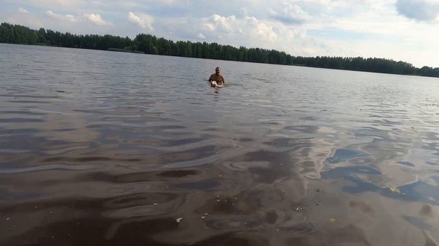 купание Бультерьера! смотреть онлайн