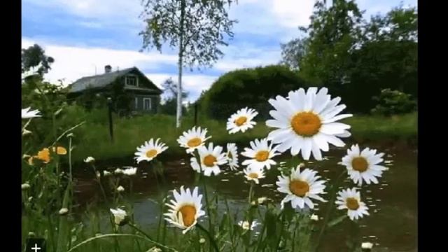 Александр Щеглов - Светлана. смотреть онлайн