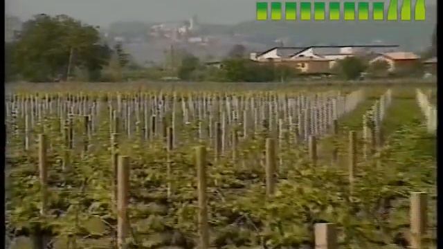 уход за виноградником смотреть онлайн