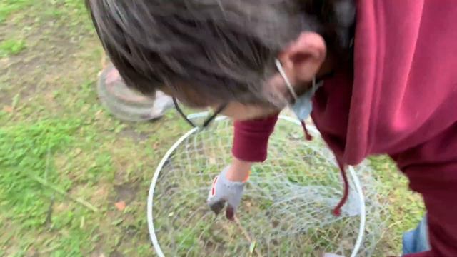 Улов форели в Лепсари смотреть онлайн