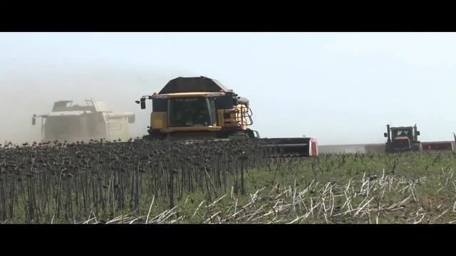 Хронология Сорго 692 смотреть онлайн