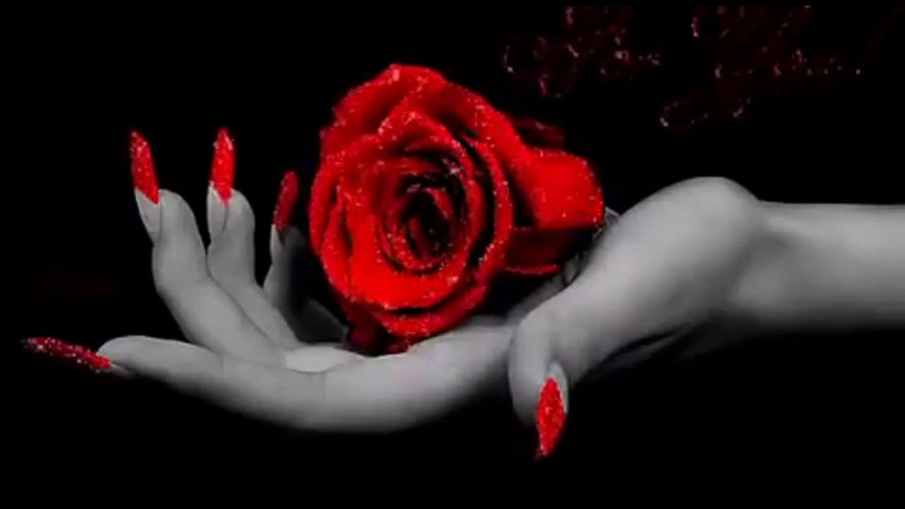 Secret Service - Spotlight 1979-1985 смотреть онлайн